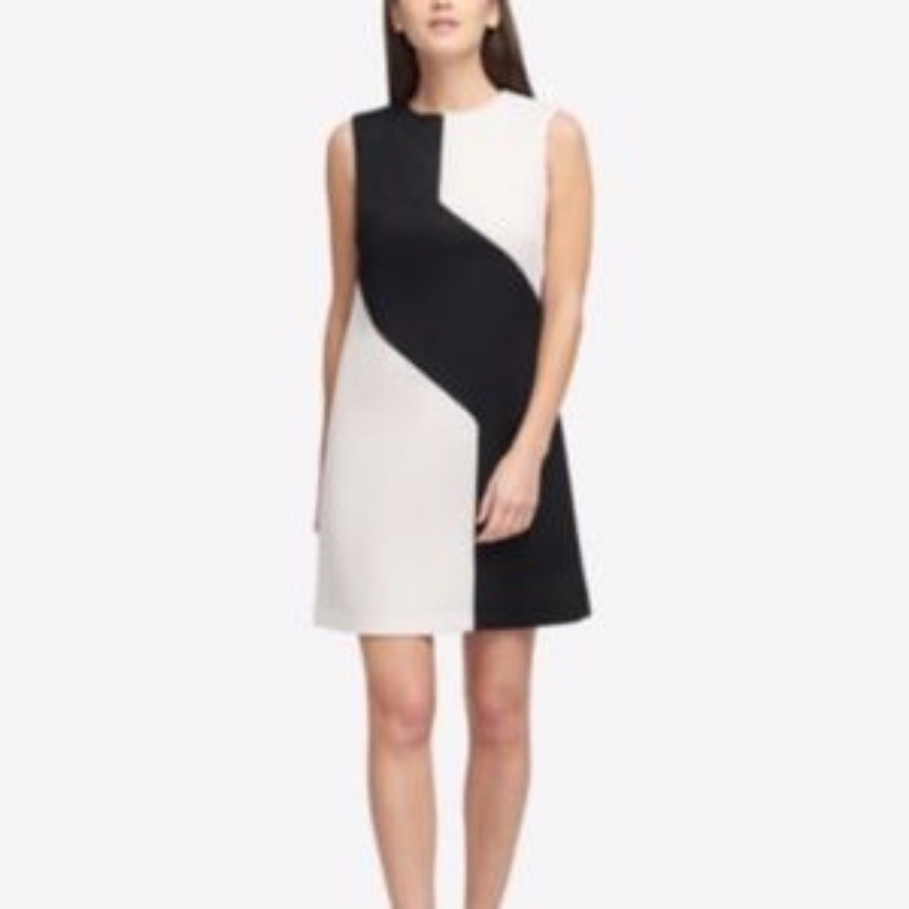 NWOT DKNY Mesh Color Block Shift Dress